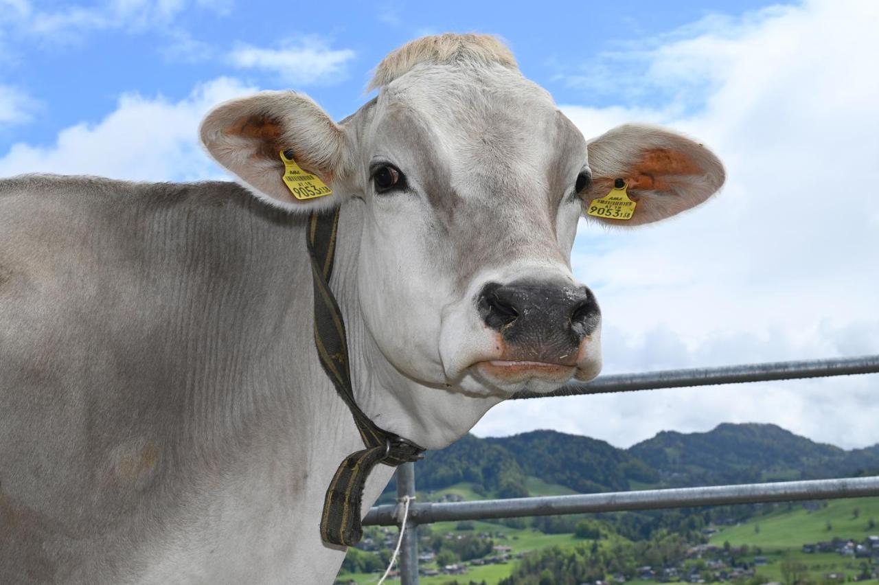 Ferienhof Landerleben Egg Luaran gambar